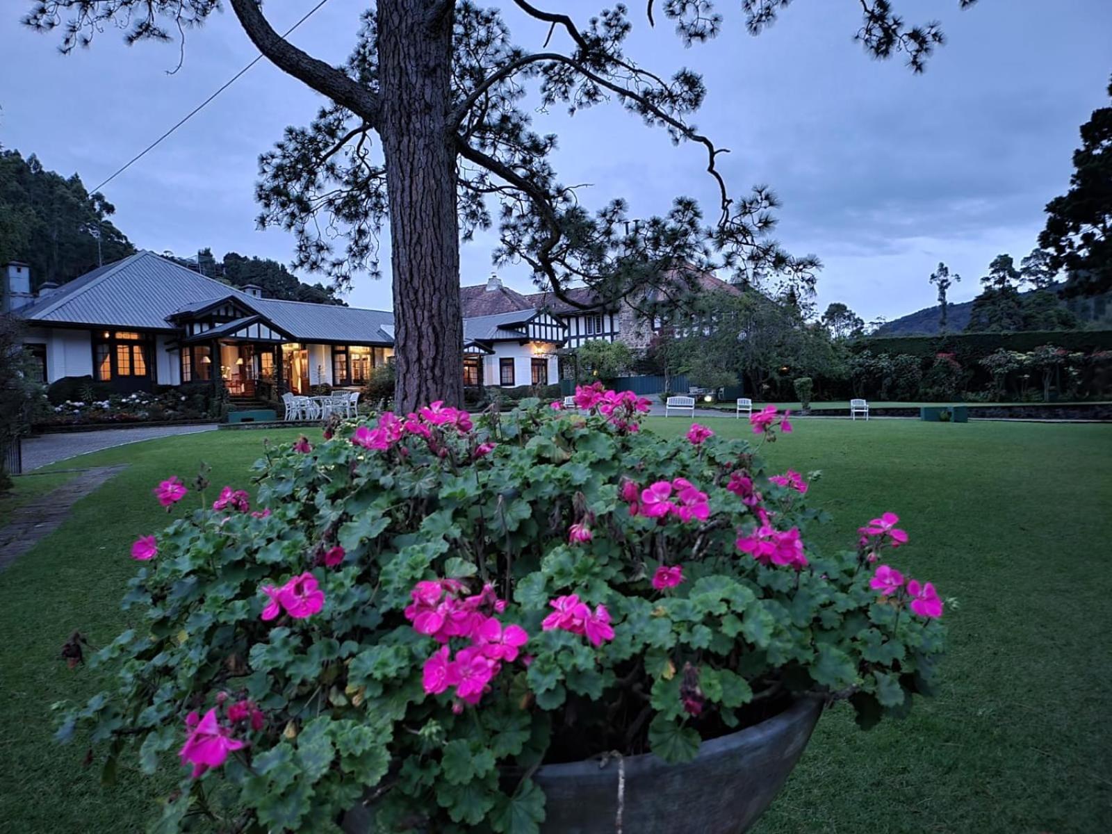 Hill Cottage Nuwara Eliya Ngoại thất bức ảnh