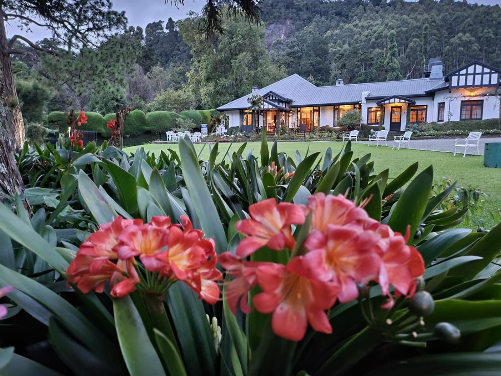 Hill Cottage Nuwara Eliya Ngoại thất bức ảnh